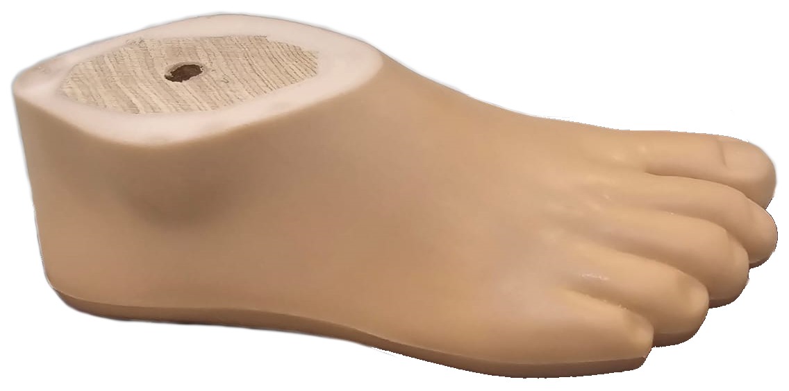 SACH AYAK - ÇOCUK - 2