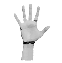 Silikon Ayak ve Kozmetik Pasif Eller