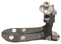 Karbon Ayak ve Kılıflar